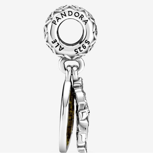 Pandora Charms - Picture 3 of 9